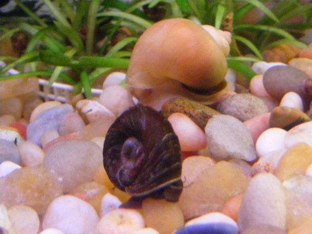 03-12-2009 042.jpg