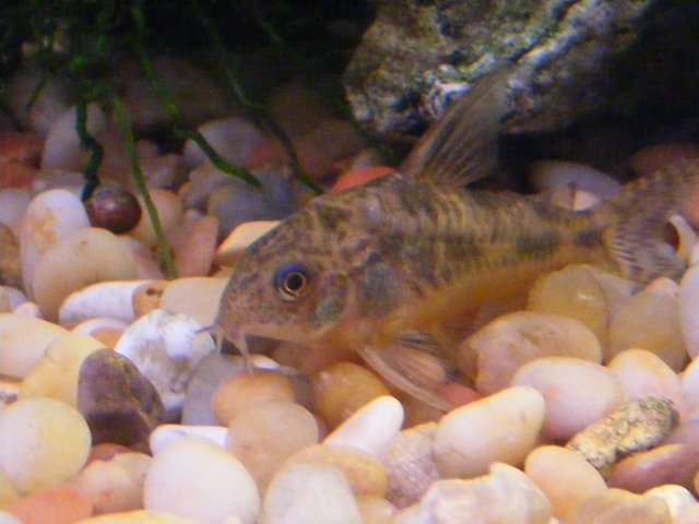 03-12-2009 038.jpg
