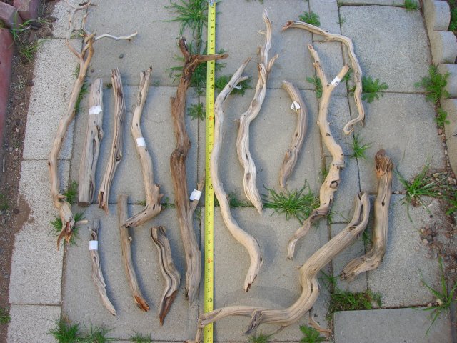DSCN3933.JPG