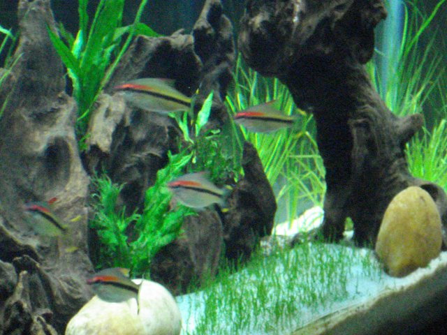 DSC01137.JPG