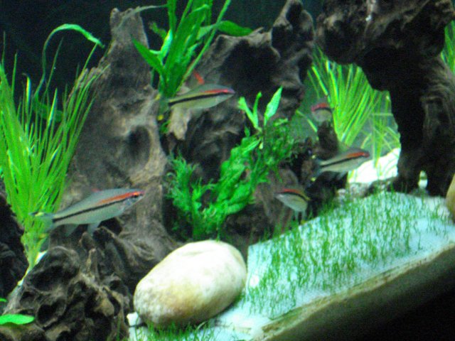 DSC01131.JPG