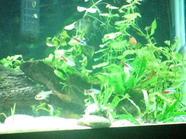 IMG_1013.JPG IMG_1013.JPG