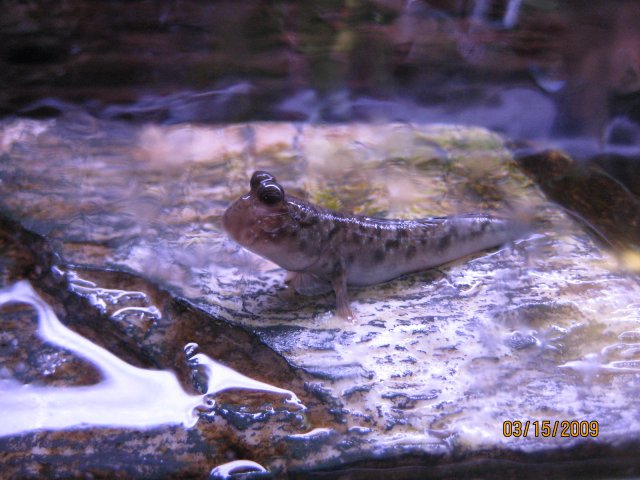 IMG_5848.JPG IMG_5848.JPG