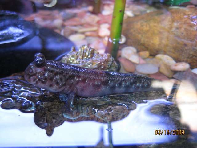 IMG_5849.JPG IMG_5849.JPG