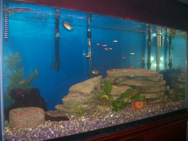 100_0770.JPG
