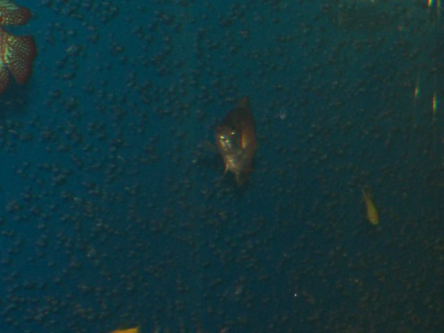 100_0793.JPG