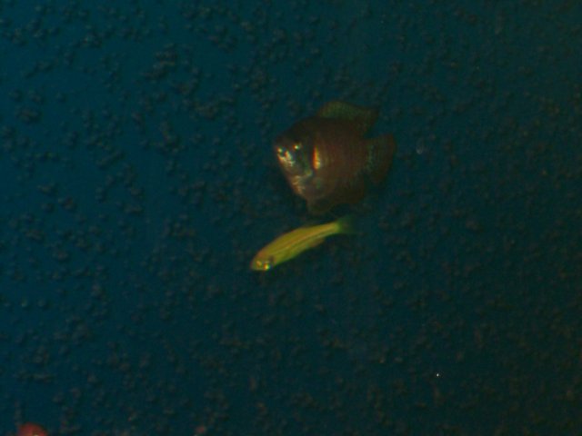 100_0794.JPG