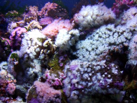 2009_031808729timelapse0004.JPG