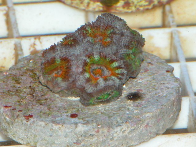 004-sm.jpg