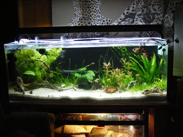 03-18-2009 014.jpg