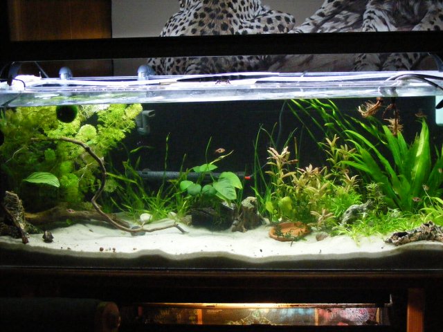 03-18-2009 015.jpg