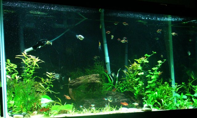 fts.JPG