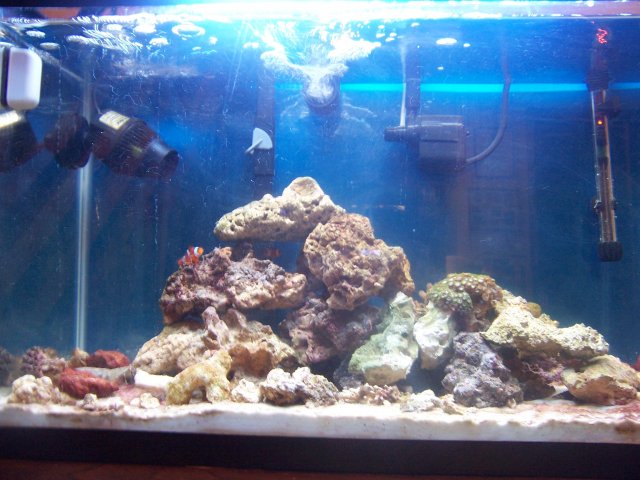 100_9832.JPG