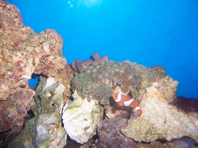 100_9833.JPG