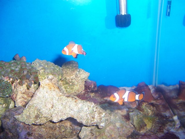100_9835.JPG