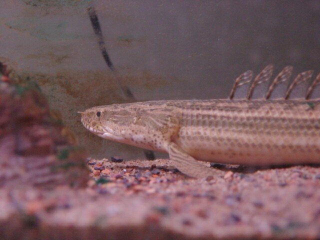 DSC00011.JPG