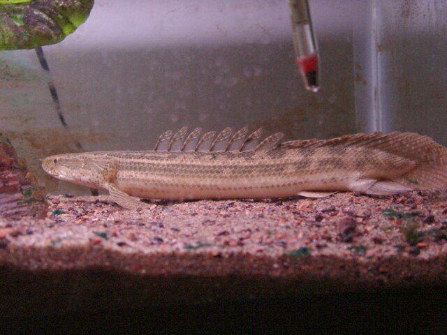 DSC00012.JPG