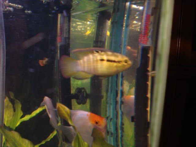 DSC02914.JPG