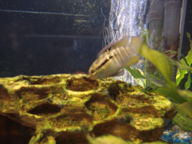 DSC02915.JPG
