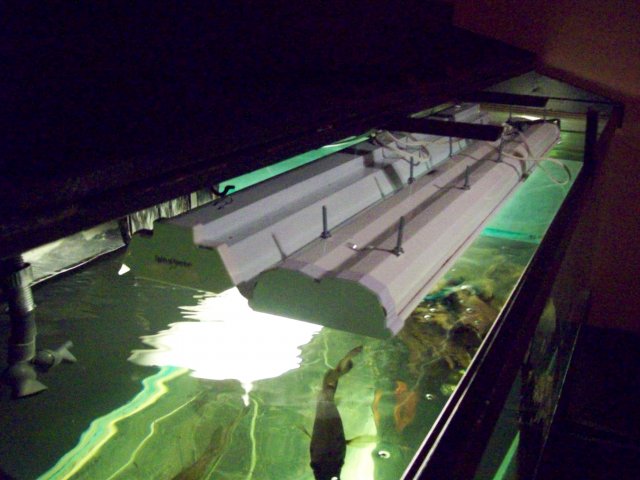 100_1063.jpg