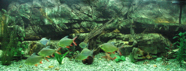 IMG_4347b.jpg