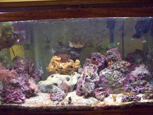 100_0542.jpg