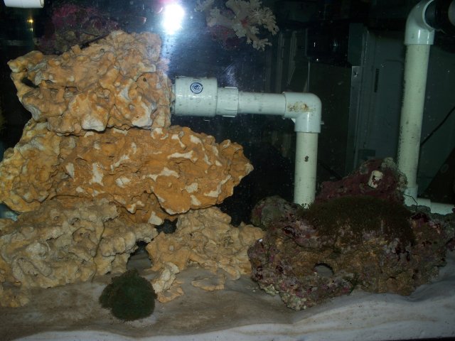 100_0513.jpg