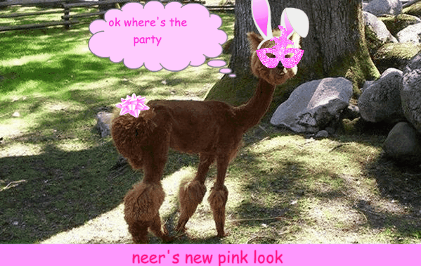nice-haircut-1.gif
