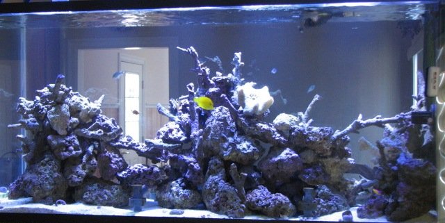 Aquaria - DT@14weeks 066  (post).JPG