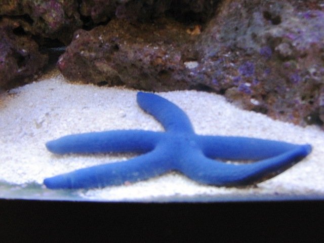 Aquaria - DT@14weeks 030  (post).JPG