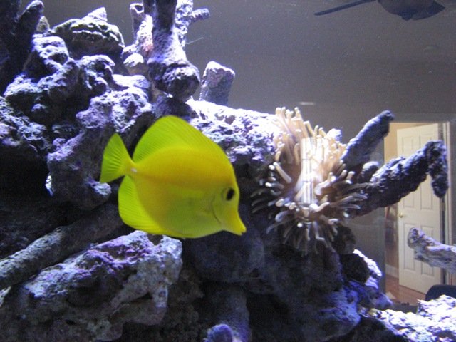 Aquaria - DT@14weeks 050  (post).JPG