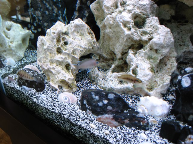 101-0169_IMG.JPG