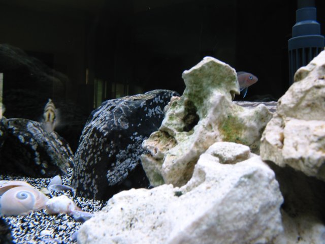 101-0173_IMG.JPG