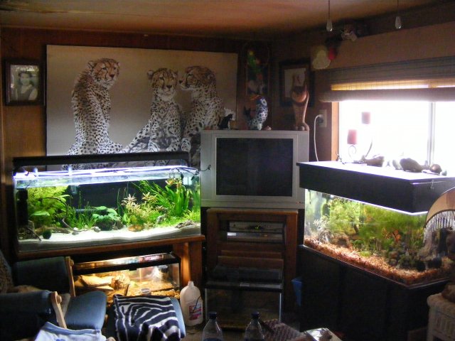 03-22-2009 001.jpg