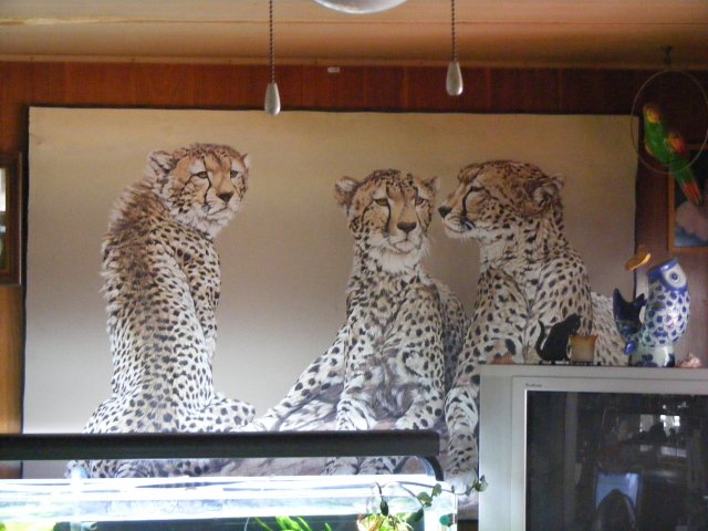 03-22-2009 007.jpg