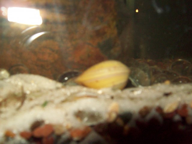 100_0045.JPG