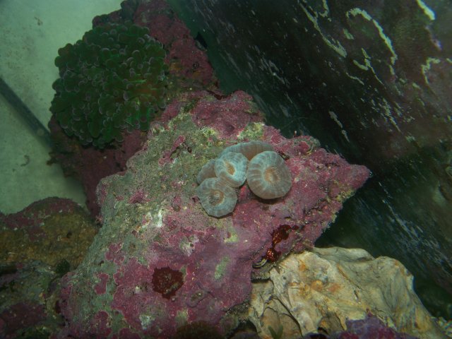 100_0545.jpg