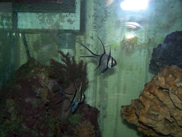 100_0546.jpg