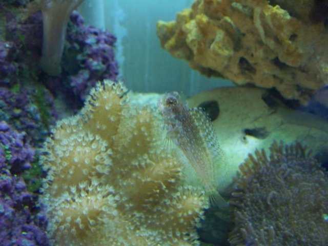 100_0568.jpg
