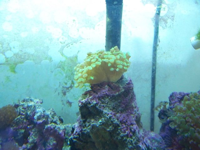 100_0570.jpg