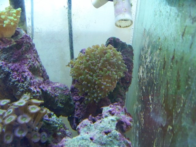 100_0572.jpg