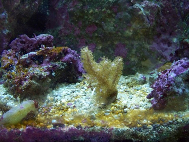100_0573.jpg