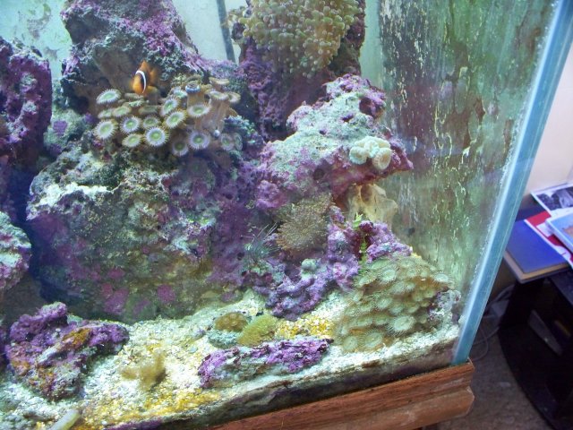 100_0580.jpg