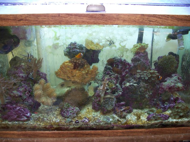 100_0593.jpg
