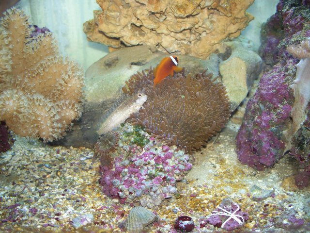 100_0597.jpg