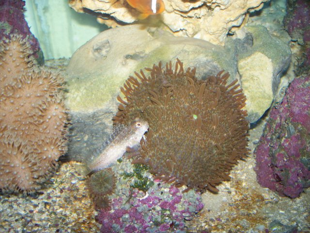 100_0596.jpg
