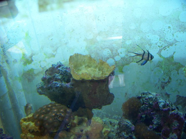 100_0589.jpg