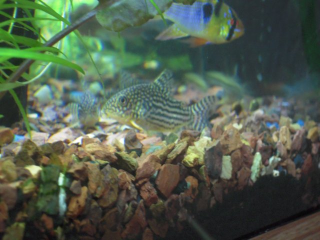 DSCN0430.JPG