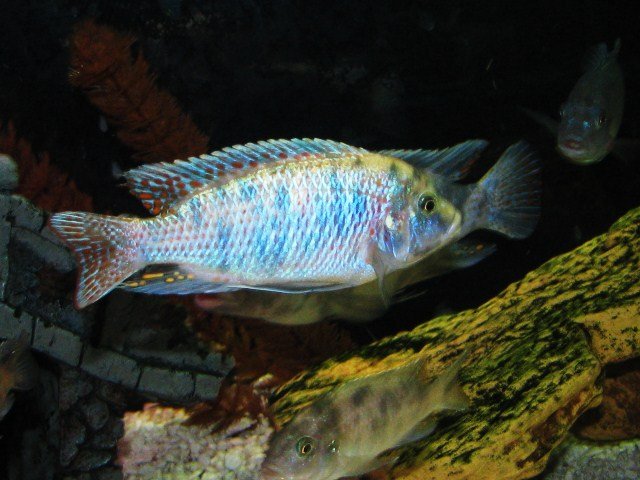jan 11 132.JPG