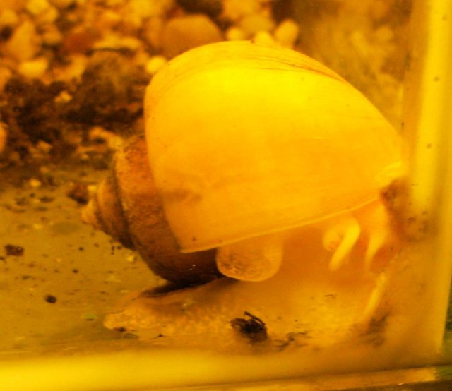DSCF0598.JPG